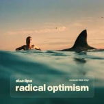 Radical Optimism albumo nuotrauka