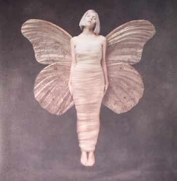 All My Demons Greeting Me As A Friend albumo nuotrauka