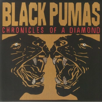 Chronicles Of A Diamond albumo nuotrauka