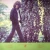 George Harrison (Remastered) albumo nuotrauka 2