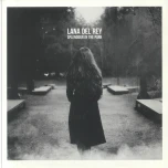 Splendour In The Park albumo nuotrauka