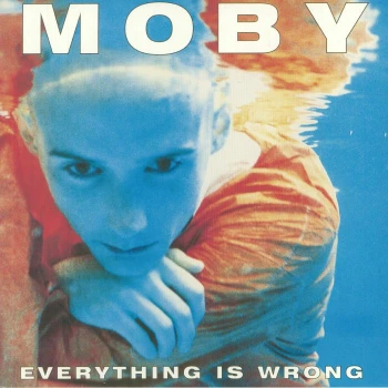 Everything Is Wrong (Reissue) albumo nuotrauka