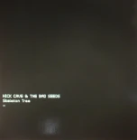 Skeleton Tree albumo nuotrauka