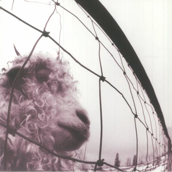 Vs (30Th Anniversary Edition) albumo nuotrauka