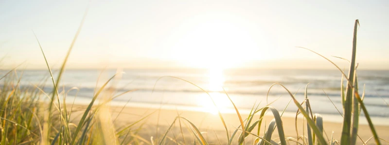 Liepos mėnesio VINILO RITMAI rekomendacija