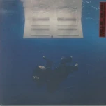 Hit Me Hard & Soft albumo nuotrauka